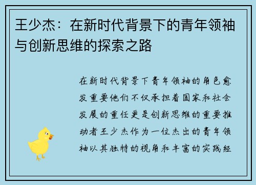 王少杰：在新时代背景下的青年领袖与创新思维的探索之路